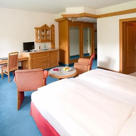 Aselager Mühle Hotel 4*